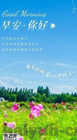 恒大足球近期比分-恒大足球近期比分波动，绿茵场上的风云变幻与深层思考