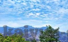 探球足球即时比分-探球足球即时比分，球迷的实时战场，激情与数据的交响曲